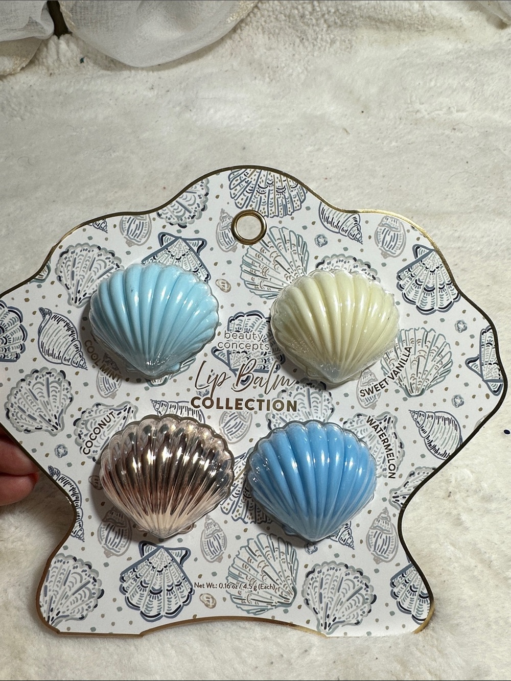 Beauty concepts set of 4 shell lip balm collection